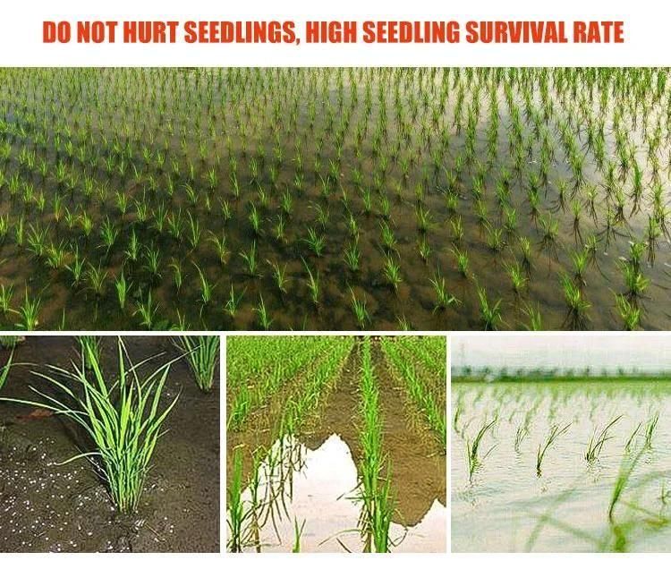 4 Row Manual Walking Behind Kubota Similar Rice Planting Transplanter