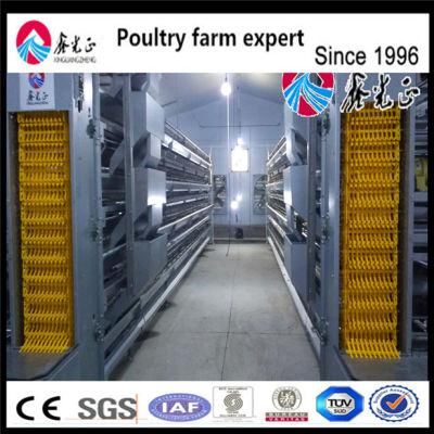 Low Price Metal Commercial Layer Quail Cages for Sale