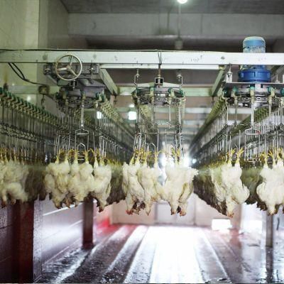 3000-10000 Bph Chicken Slaughtering Machine for Sale