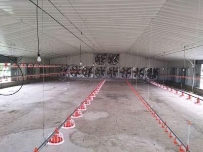 Professional Steel Structure Chicken Farm with Ce Certification