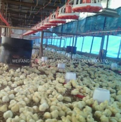 Automatic Poultry Equipment/Chicken Farm Equipment / Complete Farming System