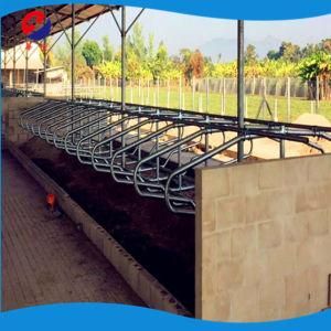 Galvanized Dairy Cow Farm Equipment Cow Free Stall