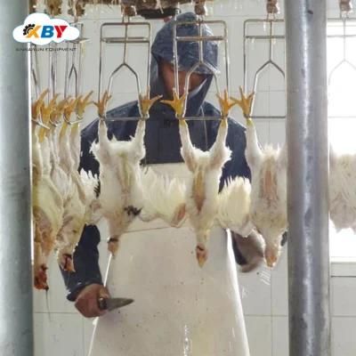 Customized Line 1000 Chickens Slaughterhouse Equipment for Poultry Farm Slaughtering