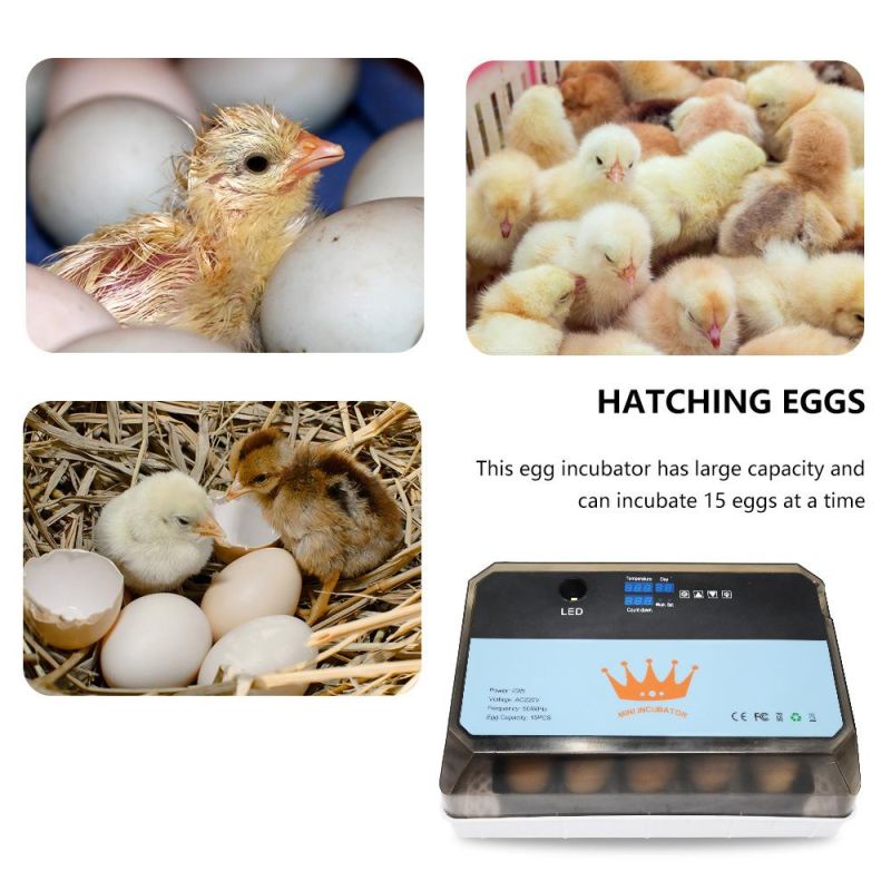 Hot Sell Fully Automatic 56 Eggs Intelligent Incubator