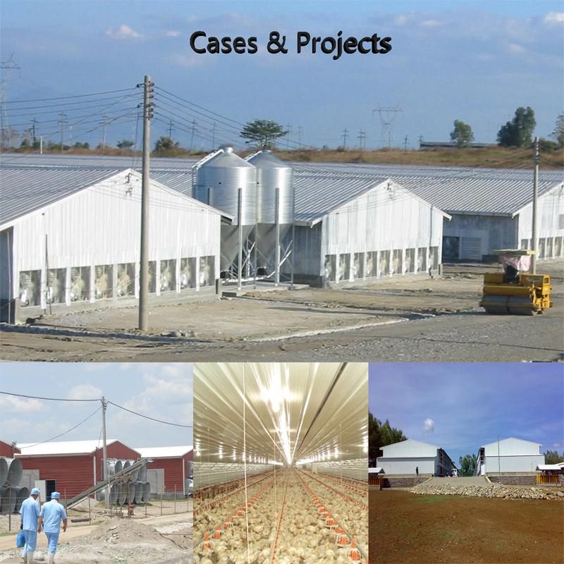 Chicken Farm Plastic Transport Cages for Layers/Broilers