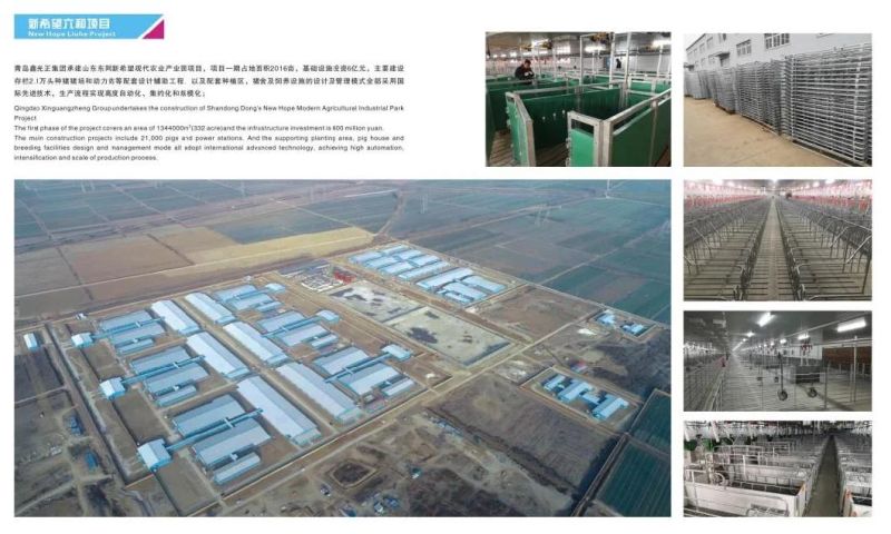 Factory Direct Supply of Anti-Corrosion Plastic Slatted Floor for Pig Farms