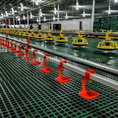 Flooring Ground Feeding Poultry Farm Chicken Feeding Equipment for Broiler