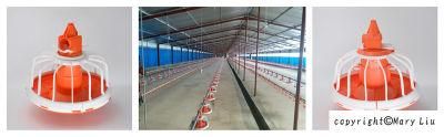 China Supplier Chicken Broiler and Layer Farming Poultry Equipment