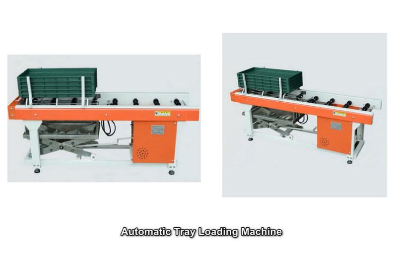 Automatic Seedling Machine Line with Watering and Tray Collection for Rice Paddy Seedling