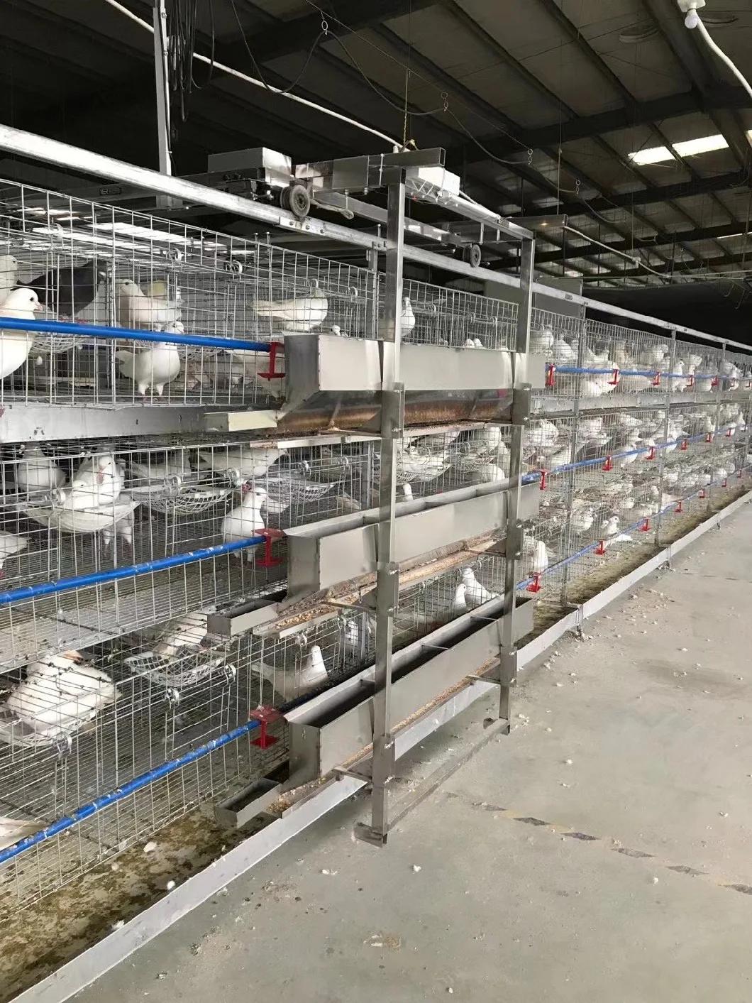 Selling Sections of Free-Range Pigeon Equipment