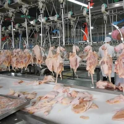 China Factory Poultry Slaughtering Equipment Layers Broilers Turkey Slaughter Lines