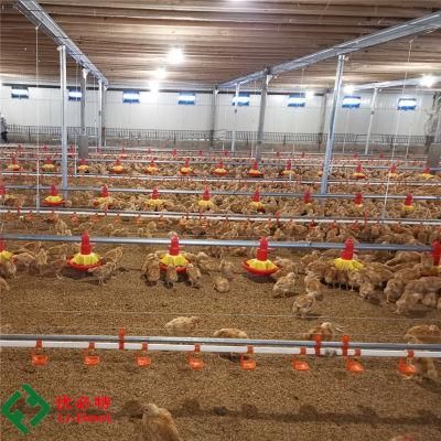 Automatic Chicken Broiler Farm Poultry Equipment for Sale