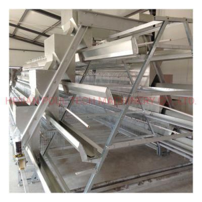 Egg Collection System Poultry Farm Equipment Layer Cage on Sale