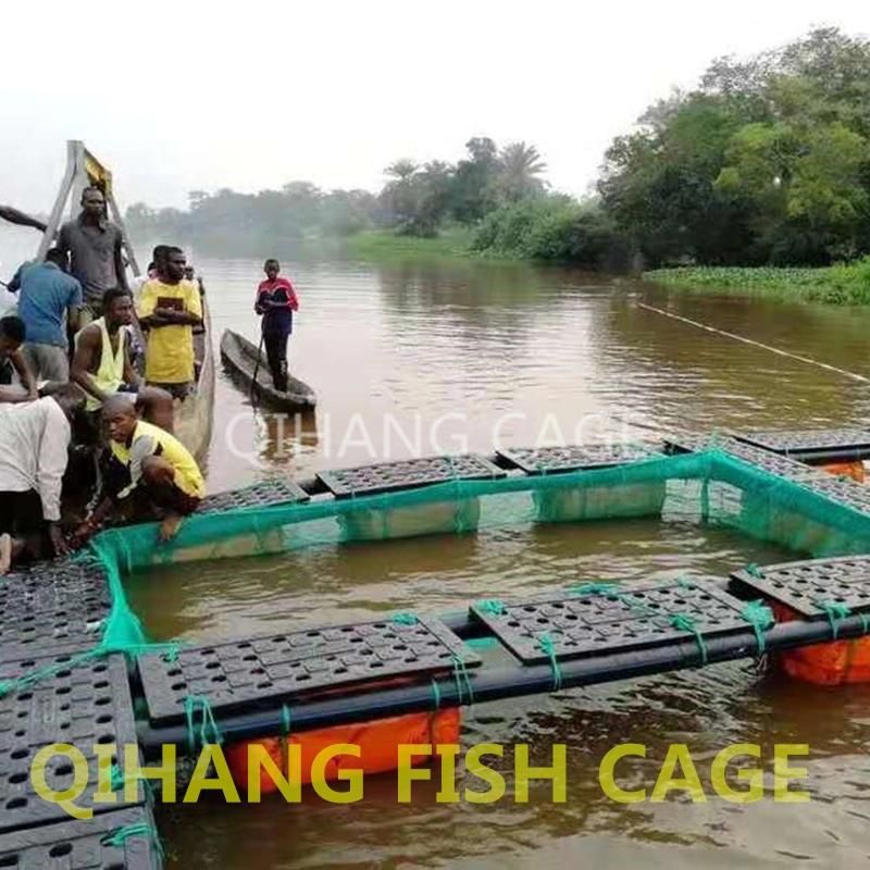 HDPE Plastic Floating Cages Used for Tilapia Breeding