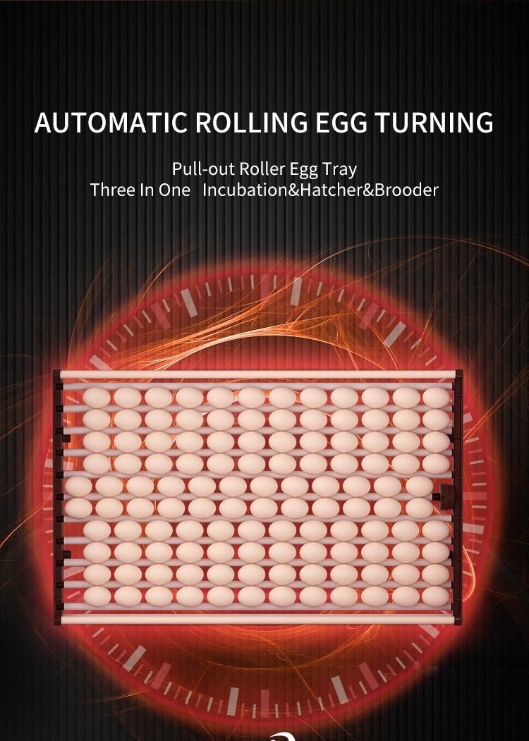 Hhd Hatching Different Eggs Automatic Quail 1000 Egg Incubators and Hatcher