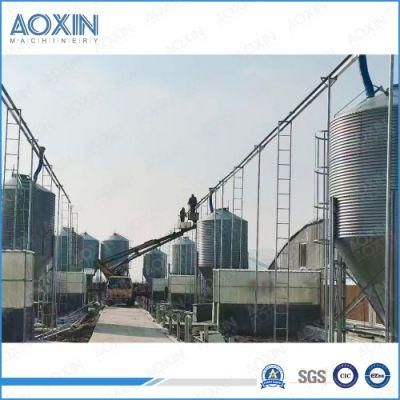 Pig Farm Automatic Feeding System Feed Hopper