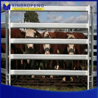 Cattle Fence/Deer Fence/Sheep Fence for Livestock