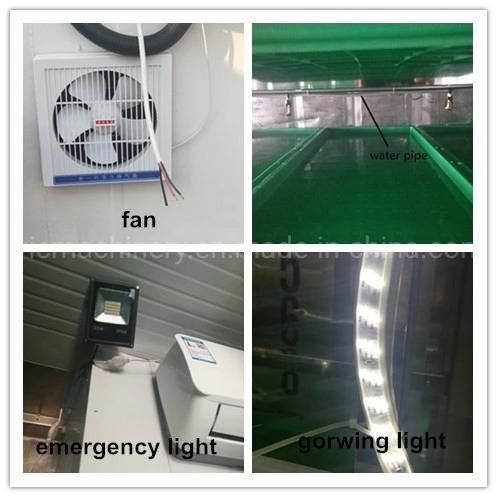 Professional Hydroponic Fodder Growing Cabinet With Ozone Machine