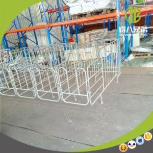 Pig Farm Breeding Equipment Individual Pig Gestation