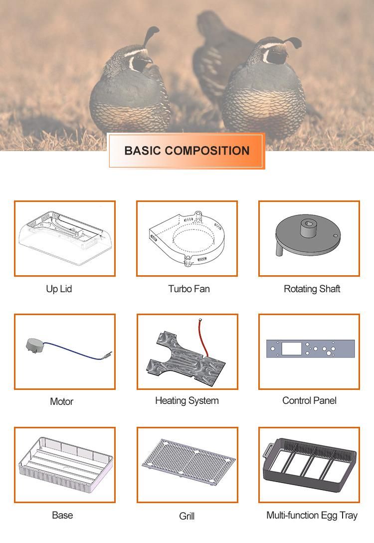 High Hatching Rate Yz9-12 Automatic Temperature Control Chicken Egg Incubator