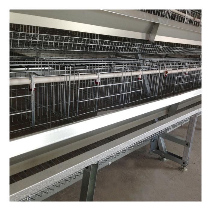 Hot Galvanized Battery Layer Cages Egg Chicken Cages with Automatic Equipment