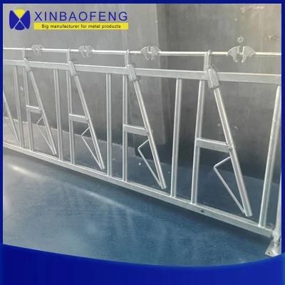 Livestock Equipment Hot DIP Galvanized Cow Cattle Headlocks