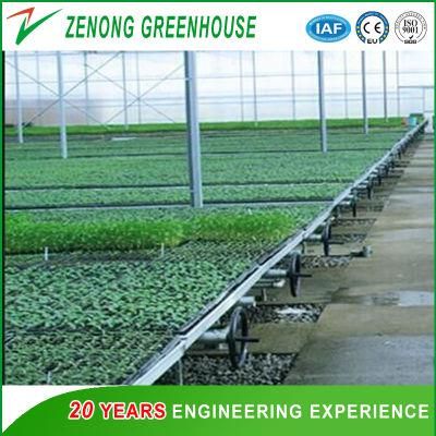Greenhouse Rolling Bench for Seeding Nursery