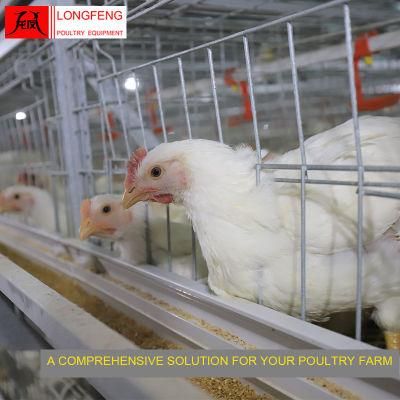 Standard Packing Easy Cleaning Longfeng Milking Machine Broiler Chicken Cage