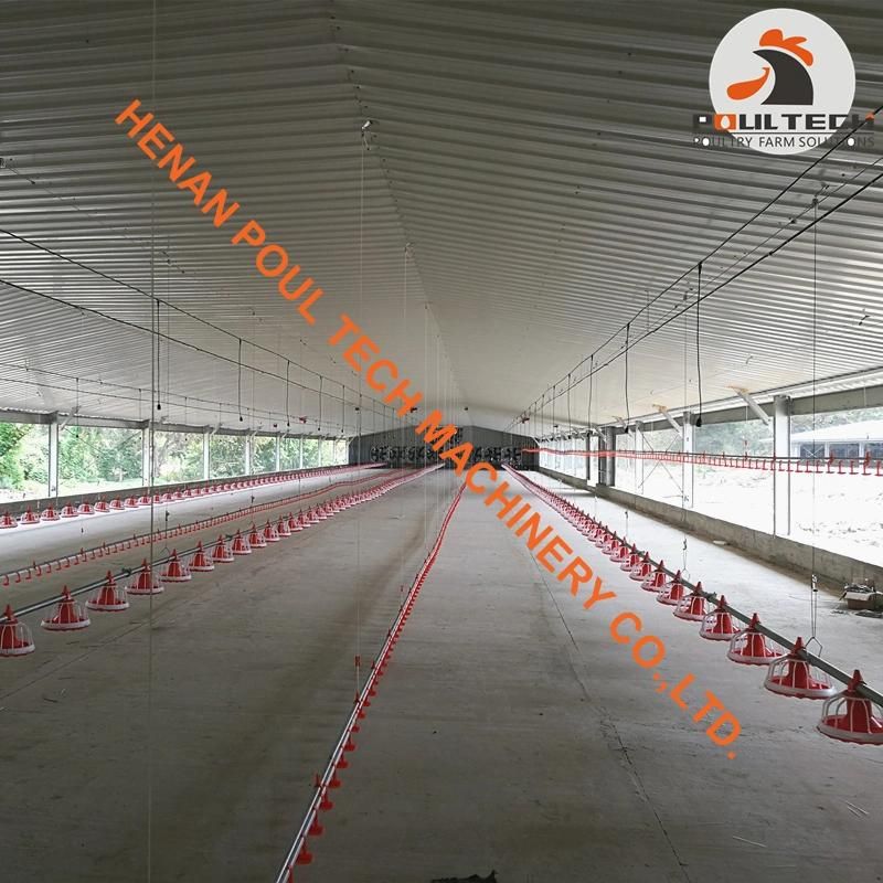 Colombia Broiler Chicken Slatted Floor System