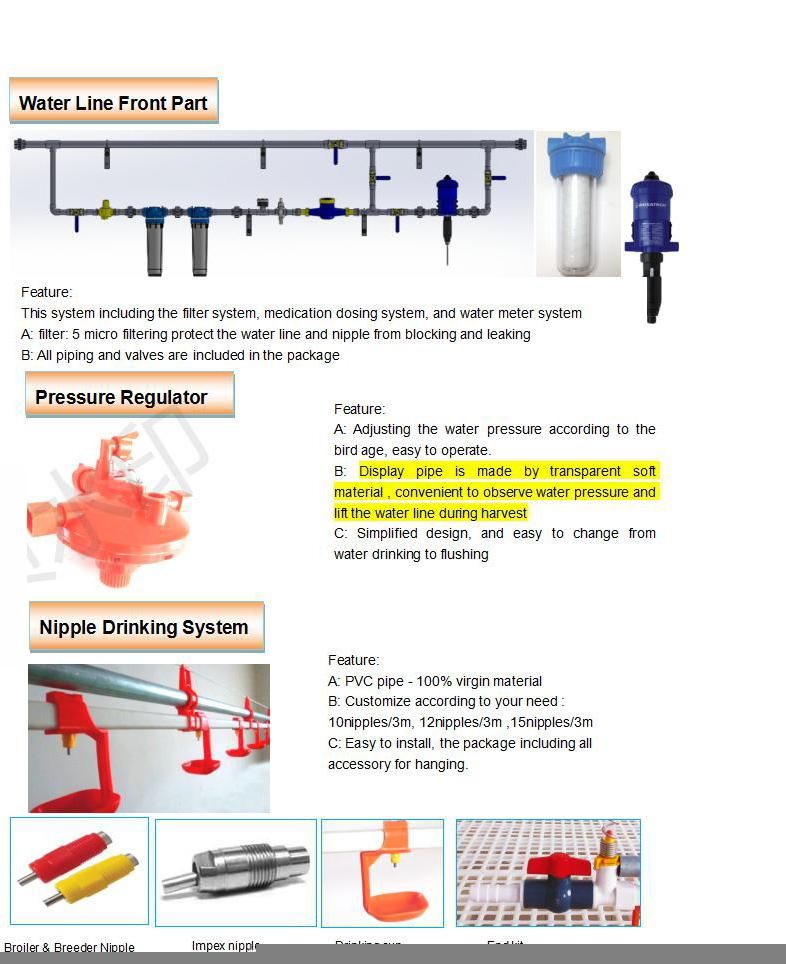 Hot Selling New Poultry Farm Automatic Flat Raising Equipment