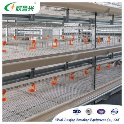 Manufacture Automatic H Type Cage 4 Tier Battery Broiler Cages for Large-Scale Chicken Poultry Farm