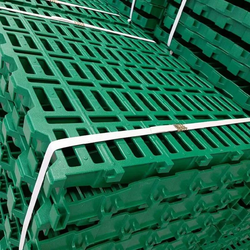 Plastic Slatted Floor Shed