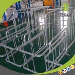 China Manufacturer Modern Design Pig Farm Hot DIP Galvanized Sow Stall