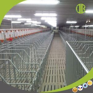 The Whole Hot DIP Galvanized Gestation Stall for Pig Farm