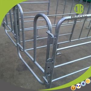 Gestation Stall Using in Pig Farm on Sale