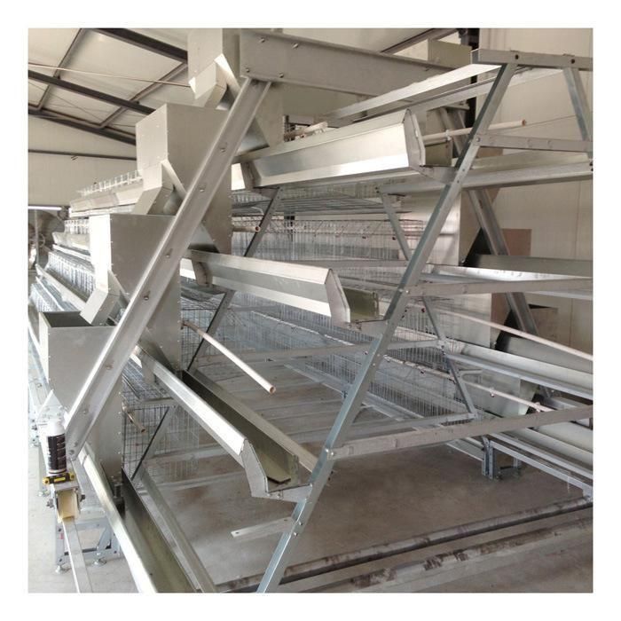 Chicken Cage Factory Design Layer Cage for Chicken Farm with Automatic Equipment