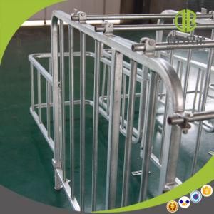 High Quality Pig Gestation Stall for Pig Farm Equipment