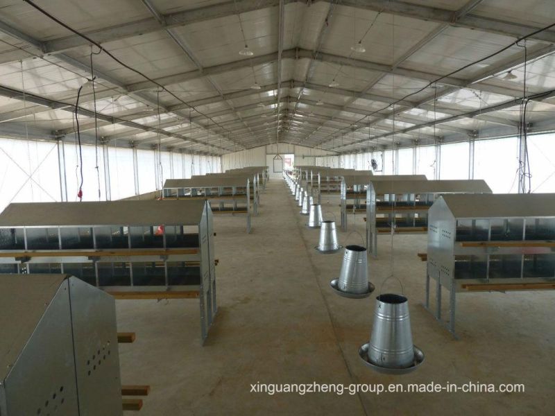 Best Price Steel Structure Chicken House