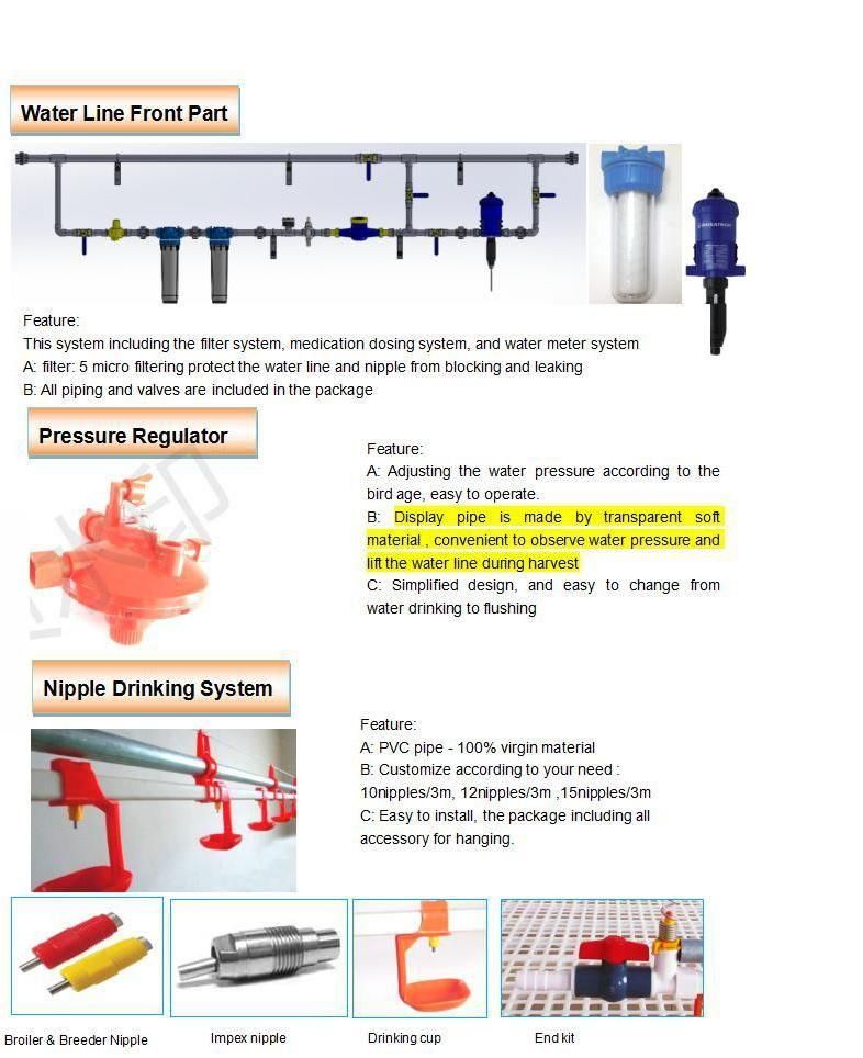 Poultry Farm Automatic Baby Chicken Flat Raising Equipment