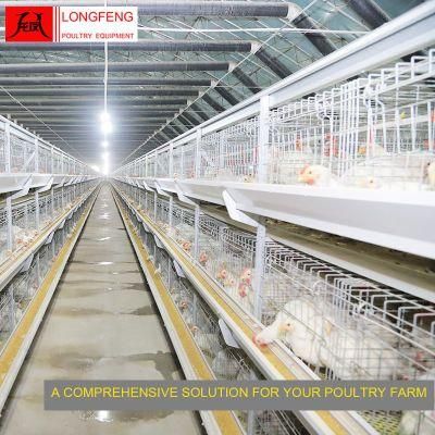 Reliable and Safety Poultry Incubator Broiler Chicken Cage with Local After-Sale Service in Asia