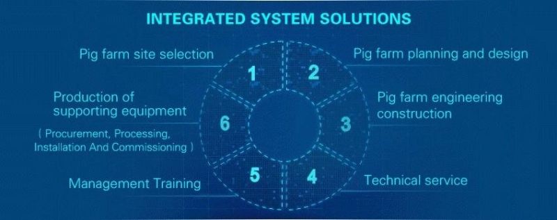 Livestock Farm Automatic Feeding System Construction Pig Farming Equipment with Feed Silos