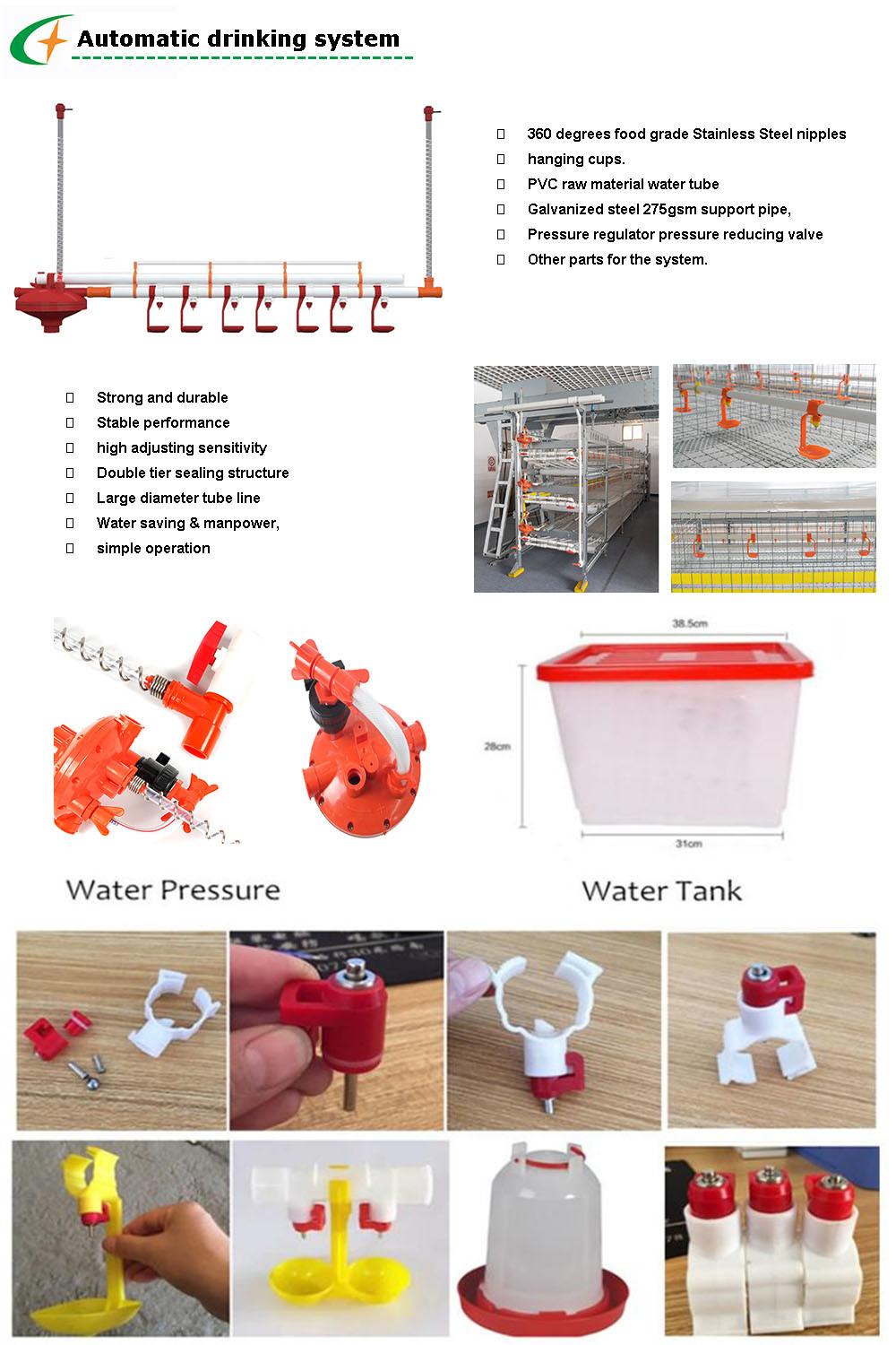 Automatic Broiler Poultry Farm Feeding System H Type Battery Broiler Chicken Cage