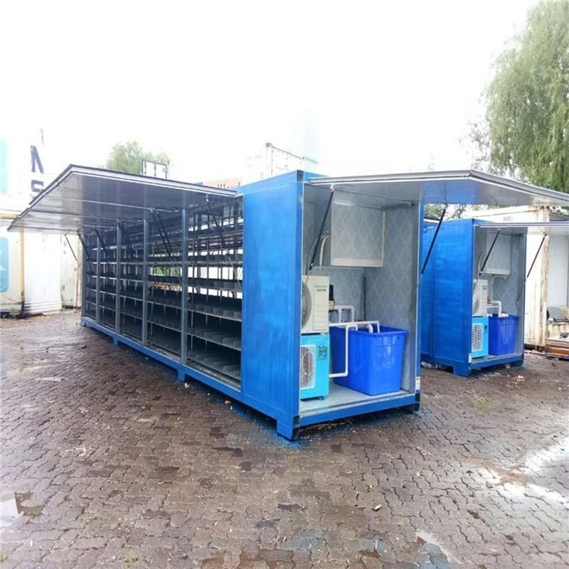 Australia Type Hydroponic Fodder Machine For Sheep,Cow,Pig