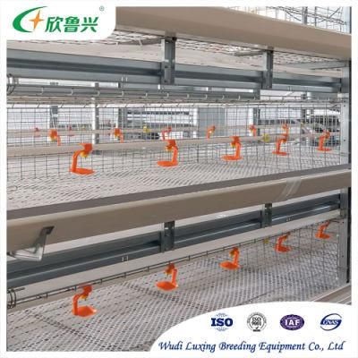 H Type Galvanized Steel Layer Baby Chick Farming Automatic 4 Tiers Battery Pullet Cages System