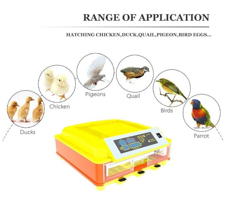 Hot Selling Hhd R46 Inkubator Parts Set Eggs Incubator Hatcher Automatic Morocco