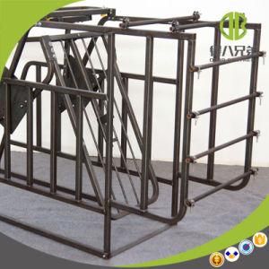 Quality Custom Pig Project Free Access Individual Stall Products
