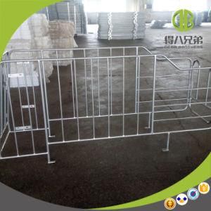 Hot Sales European Sow Stalls Sow Gestation Stall