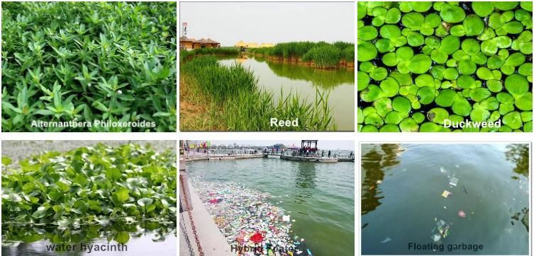 Hot Selling Water Weed Harvester for Malaysia