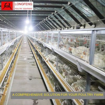 Longfeng Reliable and Safety Standard Packing Milking Machines Broiler Chicken Cage