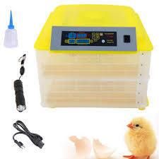 Agriculture Mini 48 Chicken Egg Incubator for Sale From China Supplier